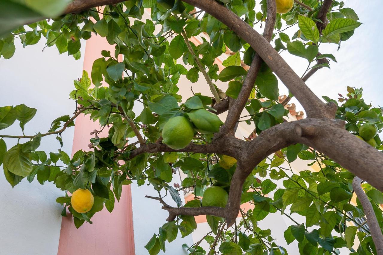 Villa Angeles Μαρμπέλλα Εξωτερικό φωτογραφία